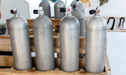 Butle CO2 do akwarium: Jak wybrać odpowiednią dla swojego zbiornika?