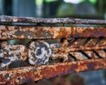 Skuteczne metody zwalczania rdzy traw: ochrona ogrodu przed pasożytami
